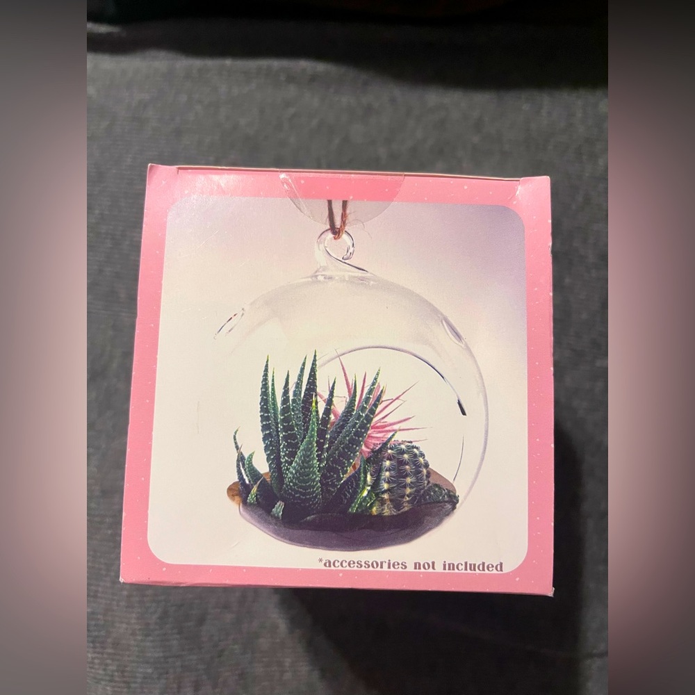 Cute hanging, terrarium